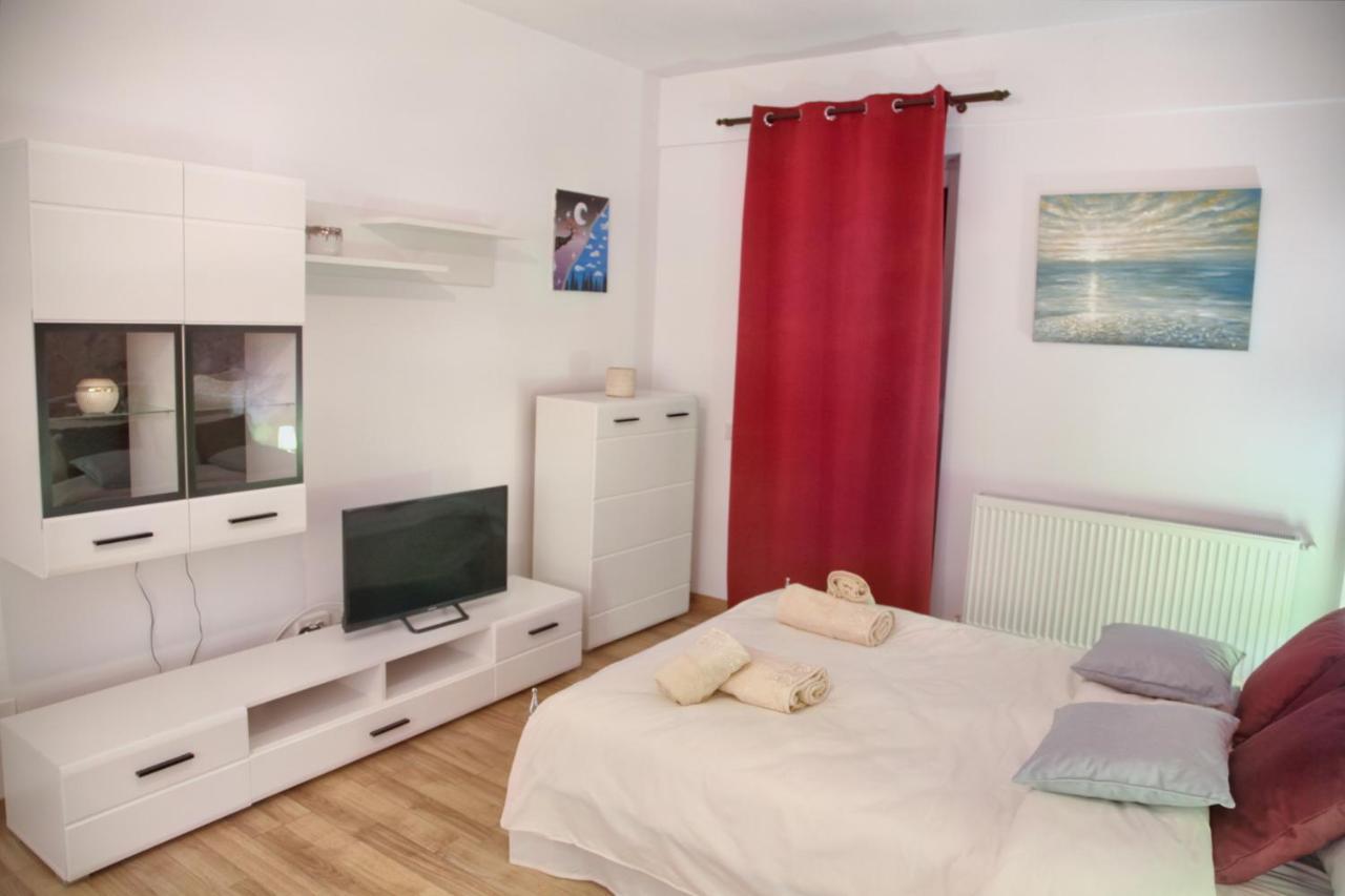 Luxury Downtown Apartment クルージュ＝ナポカ エクステリア 写真